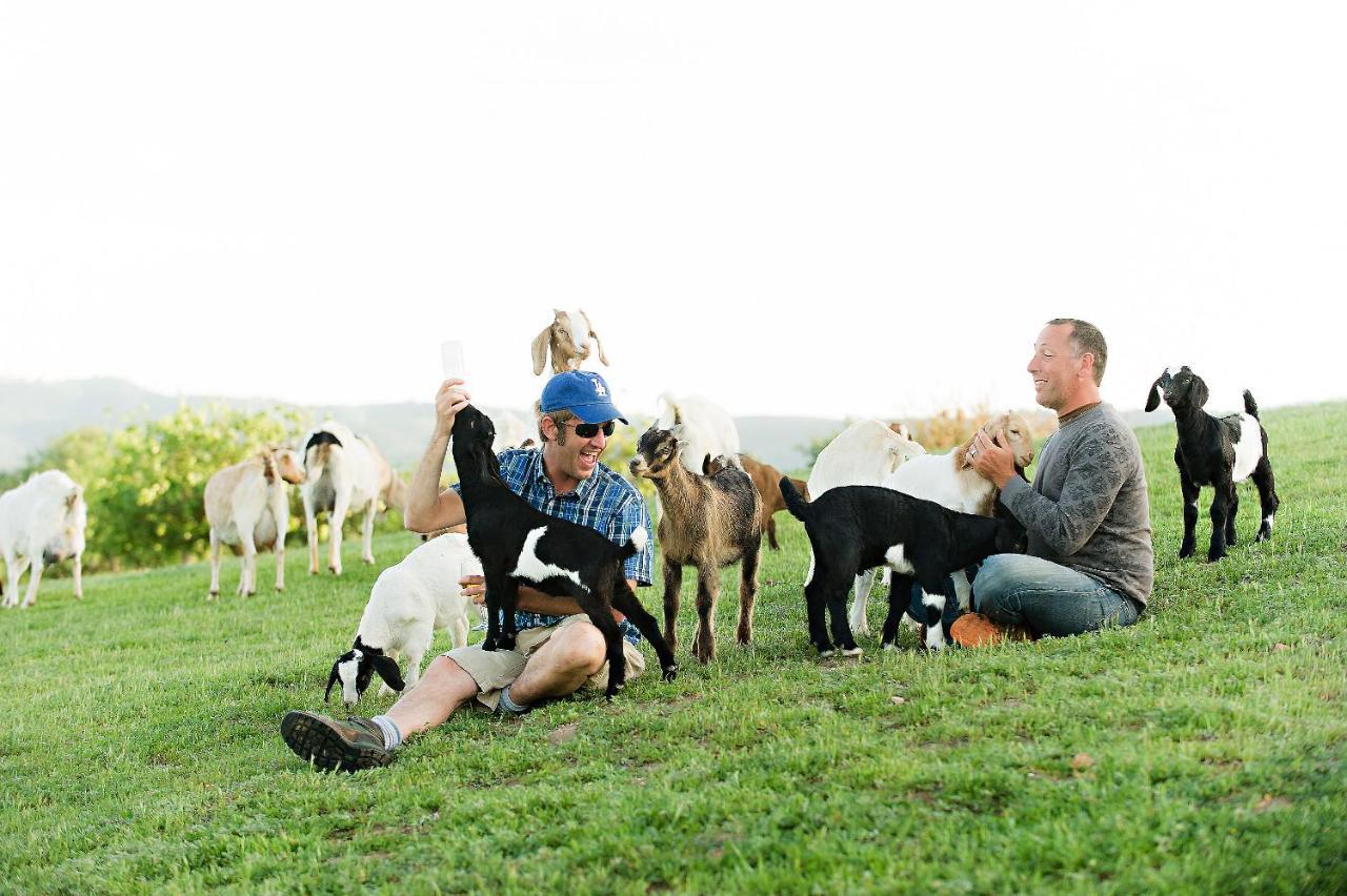 Reves De Moutons Hotell Paso Robles Exteriör bild