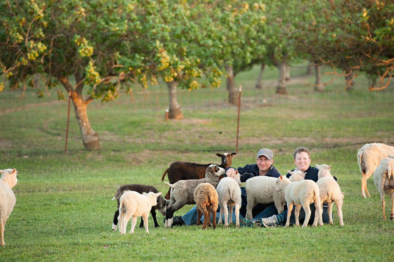 Reves De Moutons Hotell Paso Robles Exteriör bild