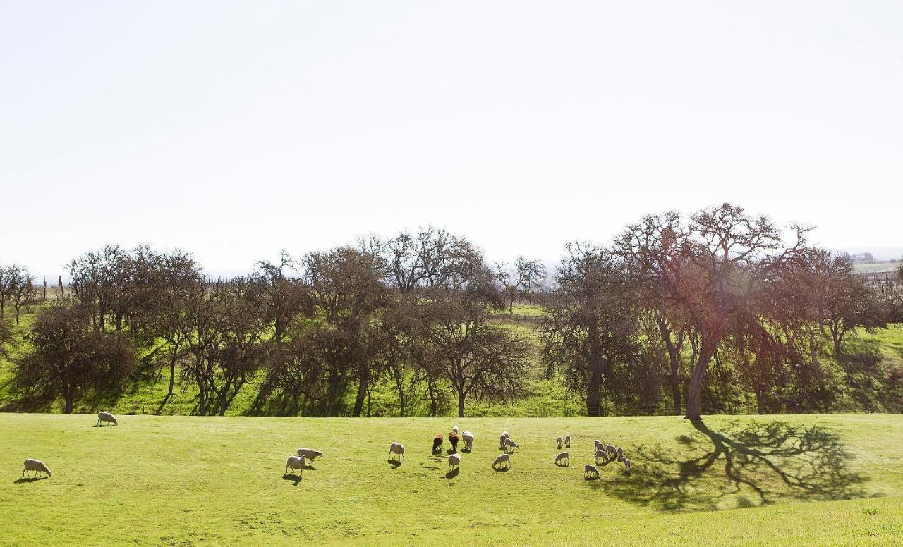 Reves De Moutons Hotell Paso Robles Exteriör bild